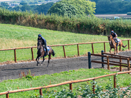 PH020922-58 - 3rd Lot on the gallops